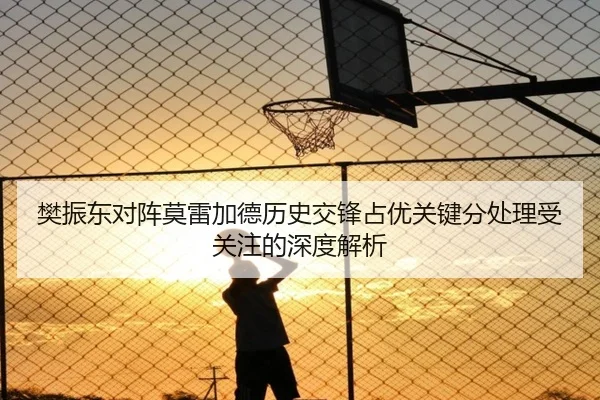 樊振东对阵莫雷加德历史交锋占优关键分处理受关注的深度解析